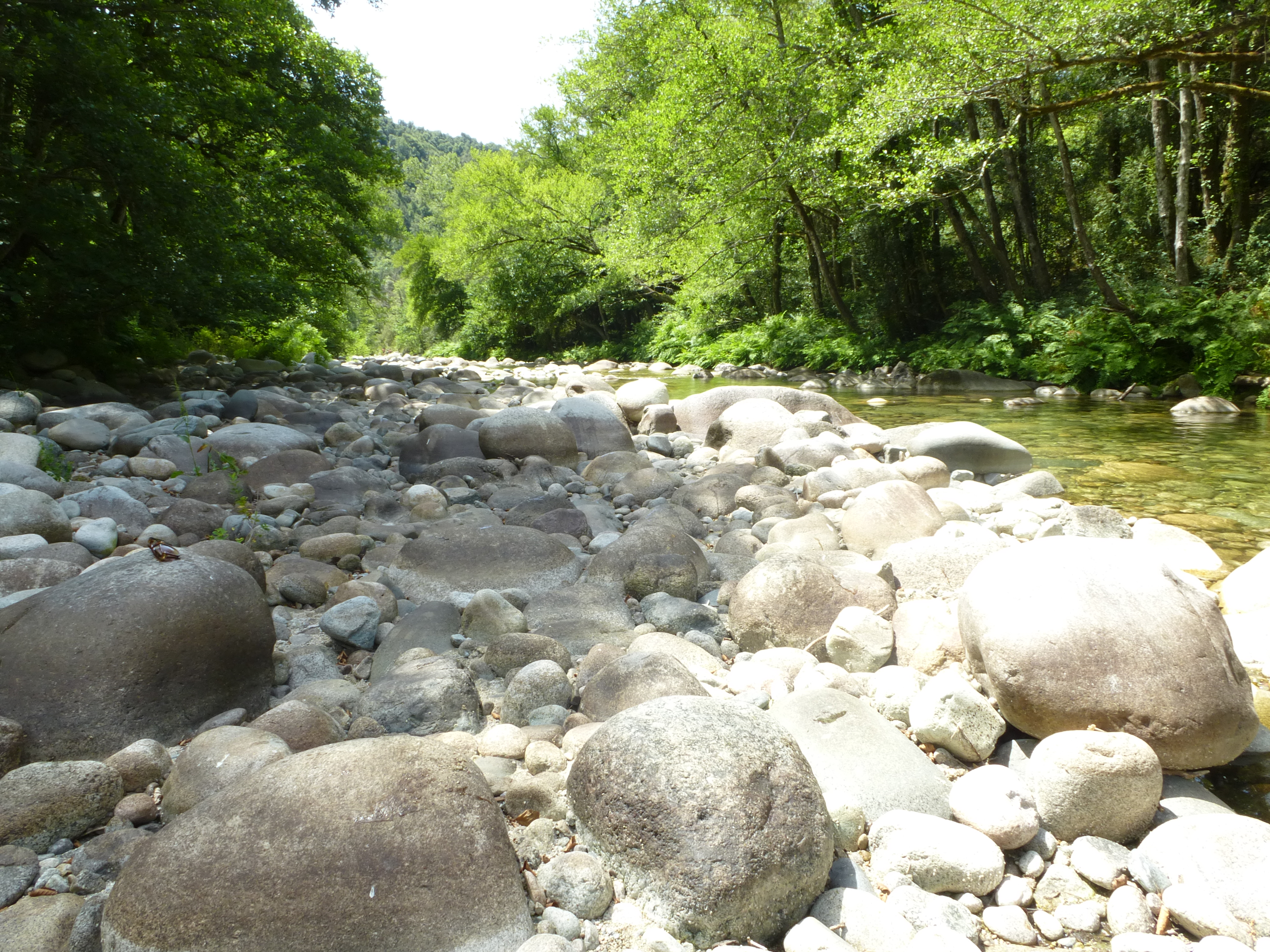 mises le 120816 583 copie